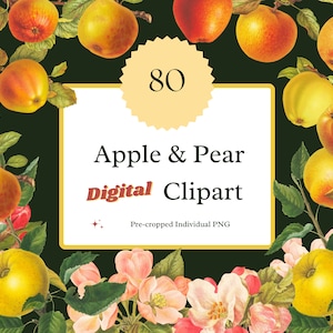 Vintage Fruit Apple Clipart Pear Clipart Watercolor Clipart Instant Download for Wall Art Prints, Invitations, Collages, Crafts