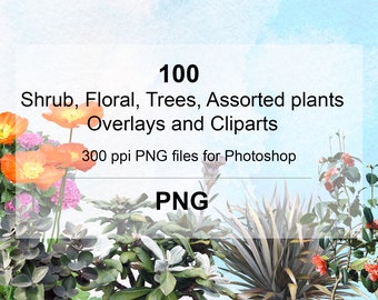 100 verschiedene Pflanzen-Overlays für Photoshop, Pflanzen, Pflanzen im Freien, Blumen, Ausschnitte, Landschaft, PNG-Overlays, digitale Downloads, PNG