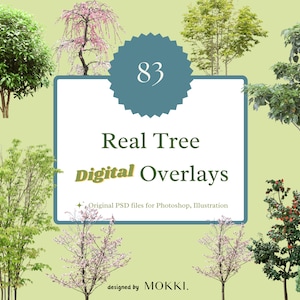 May include: A collection of 83 digital overlays featuring real tree images. The overlays are perfect for adding realistic greenery to digital designs.  Original PSD files for Photoshop, Illustration. Designed by MOKKI.