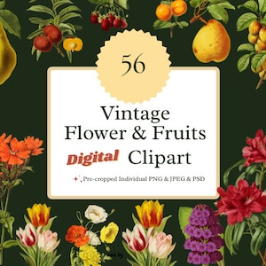 Vintage Früchte und Blumen Clipart Floral Botanische Illustration Sofortiger Download für Wand Kunst Drucke, Einladungen, Collagen, Kunsthandwerk