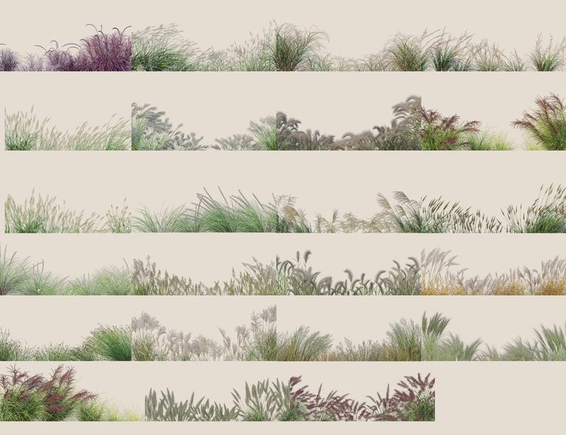 72 Real Ornamental Grass Overlays High-resolution PNG Digital Instant ...