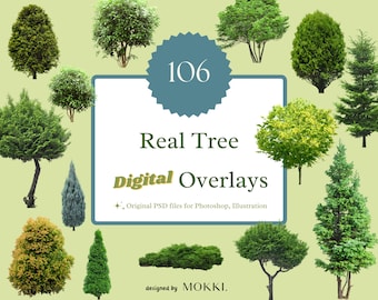 106 Tree Photo Overlays, Photoshop, Illustrator (Digital Download)