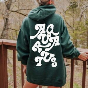Aquarius Constellation Hoodie Gildan Unisex Zodiac Sweatshirt in Multiple Colors Astrology Gift for Sister Bride Him or Her Gift for Zodiac