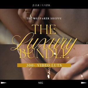 300+ Luxury LUTs Bundle Mobile VIDEO Filters, Natural Filters, Aesthetic Video Editing LUTS for Vlogs, Lifestyle Filters, Neutral Filters