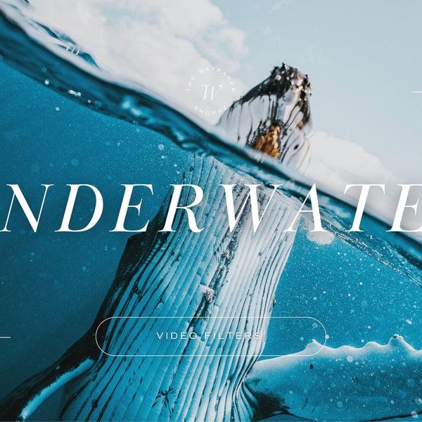 15 Underwater Mobile VIDEO Filters, Travel Filters, Beach Island Video Filters, Instagram and Blogger Lifestyle Filters, Summer LUTs