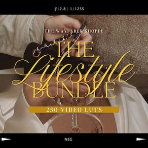 250 Lifestyle Blogger LUTs Bundle Mobile VIDEO Filters Moody Filters Natural Video Editing LUTS Clean Minimal Filter for Influencers image 1