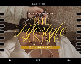 250 Lifestyle Blogger LUTs Bundle Mobile VIDEO Filters Moody Filters Natural Video Editing LUTS Clean Minimal Filter for Influencers