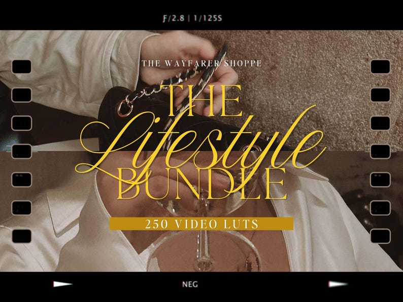 250 Lifestyle Blogger LUTs Bundle Mobile VIDEO Filters Moody Filters Natural Video Editing LUTS Clean Minimal Filter for Influencers image 1