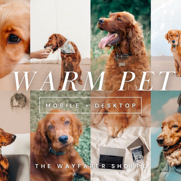 25 Warm Pet Mobile Lightroom Presets, Dog Instagram Filter, Pet Lover Preset, Dog Blogger Natural Outdoor Photo Presets for Photo Editing