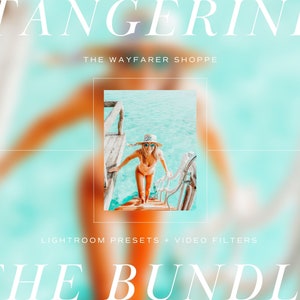 15 Lightroom Presets AND Mobile Video Filters Bundle | Teal and Orange Presets Summer Travel Presets, Outdoor Beach Presets, Vibrant Presets