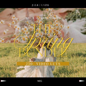 250+ Spring LUTs Bundle Mobile VIDEO Filters, Natural Video Editing LUTS, Soft Aesthetic Filters for Bloggers Influencers Videographers imagen 1