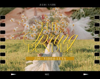 250+ Spring LUTs Bundle Mobile VIDEO Filters, Natural Video Editing LUTS, Soft Aesthetic Filters for Bloggers Influencers Videographers