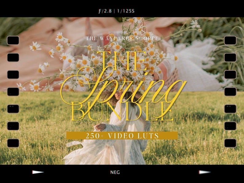 250+ Spring LUTs Bundle Mobile VIDEO Filters, Natural Video Editing LUTS, Soft Aesthetic Filters for Bloggers Influencers Videographers imagen 1