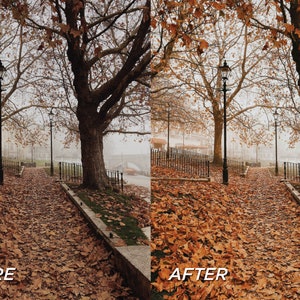 May include: A split-screen comparison showing a park pathway covered in fallen brown and orange autumn leaves, lined with trees and a black metal lamp post. The left side is labeled BEFORE, and the right side is labeled AFTER, showing enhanced color saturation.