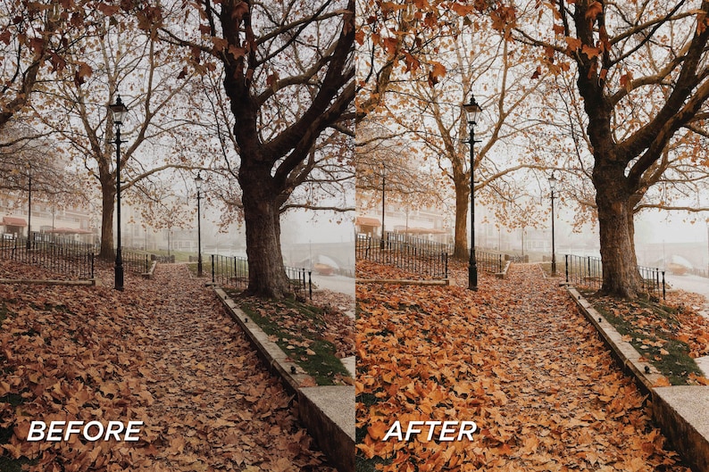 May include: A split-screen comparison showing a park pathway covered in fallen brown and orange autumn leaves, lined with trees and a black metal lamp post. The left side is labeled BEFORE, and the right side is labeled AFTER, showing enhanced color saturation.