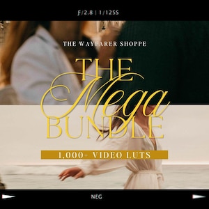 1,000+ Mega LUTs Bundle Mobile VIDEO Filters, Aesthetic Lifestyle Filters, Natural Video Editing LUTS, Clean Vlog Filters for Videographers