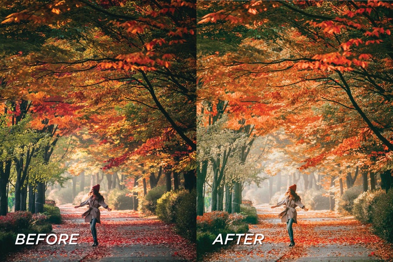 May include: A split-screen comparison showing a path lined with autumn trees featuring vibrant red and orange foliage. On the left, the scene is darker with deep tones. On the right, the scene is brighter with a soft, hazy light effect applied.