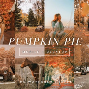 15 Fall Mobile Lightroom Presets, Cozy Autumn Filters for Warm Instagram Photos, Neutral Boho Presets, Rustic Fall Presets, Outdoor Filters