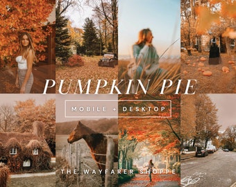 15 Fall Mobile Lightroom Presets, gemütliche Herbstfilter für warme Instagram-Fotos, neutrale Boho-Presets, rustikale Herbstpresets, Outdoor-Filter