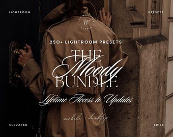 Puede incluir: Una gabardina color canela con cuello y charreteras en los hombros. El texto superpuesto dice: LIGHTROOM PRESETS, 250+ LIGHTROOM PRESETS, THE Moody BUNDLE, Lifetime Access to Updates, mobile + desktop, ELEVATED EDITS, y un logo circular THE WANDER SHOPPE.