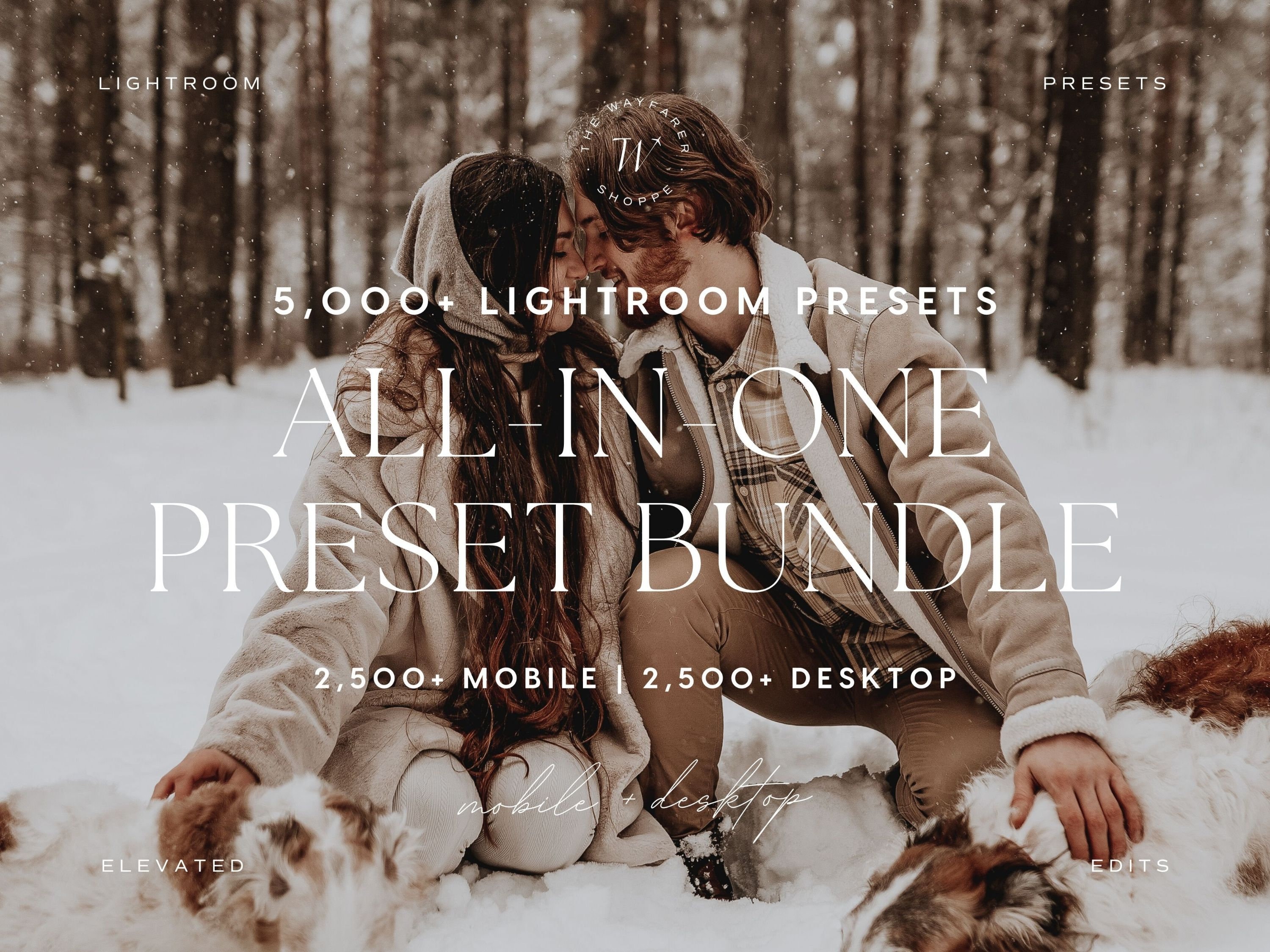 5000+ All-in-one Lightroom Preset Bundle Aesthetic Snow Presets ...