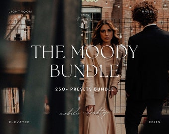 250+ Moody Lightroom Preset Bundle | Boho, Dark, Aesthetic, Rustic, Cinematic, Warm Earthy Presets for Influencers and Travel Photography