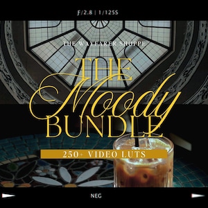 250+ Moody LUTs Bundle Mobile VIDEO Filters, Outdoor Video Editing LUTS, Earthy Aesthetic Filters, Cinematic LUTs, Videographer Filters image 1