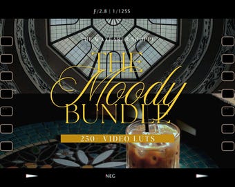 250+ Moody LUTs Bundle Mobile VIDEO Filters, Outdoor Video Editing LUTS, Earthy Aesthetic Filters, Cinematic LUTs, Videographer Filters