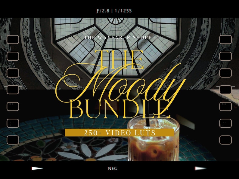 250+ Moody LUTs Bundle Mobile VIDEO Filters, Outdoor Video Editing LUTS, Earthy Aesthetic Filters, Cinematic LUTs, Videographer Filters image 1