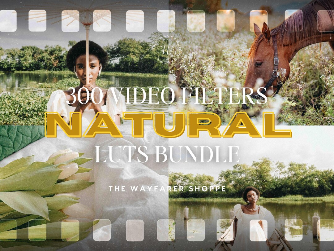 Natural Filter Shape 300 Natural Luts Bundle, Mobile VIDEO Filters, Natural Filters, Neutral ...