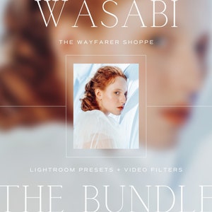 5 Lightroom Presets AND Mobile Video Filter Bundle | Bright Airy Video LUTs For Blogger Indoor Outdoor Light Photo Editing Presets Instagram