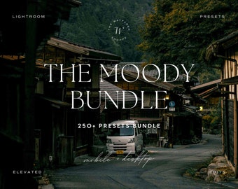 250+ Moody Lightroom Preset Bundle | Earthy Boho Presets, Dark Aesthetic, Rustic, Cinematic, Travel, Influencer & Blogger Edits