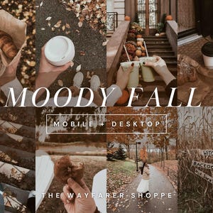 15 Moody Fall Presets, Mobile Lightroom Presets, Autumn Presets, Warm Presets, Rustic Presets for Fall, Earthy Boho Presets for Instagram