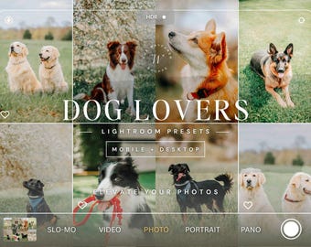 25 Dog Lover Lightroom Presets for Pet, Dog, Outdoor and Indoor Photos | Instagram Filter & Aesthetic Dog Blogger Editing