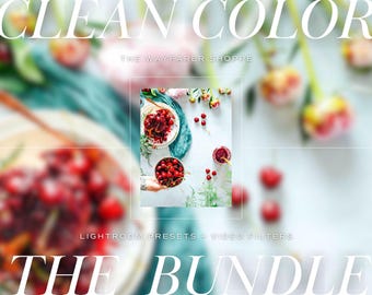 15 Lightroom Presets AND Mobile Video LUTs Bundle | Color Pop Preset Vibrant Preset, Outdoor Summer Photo Filter, Bright Lifestyle Preset