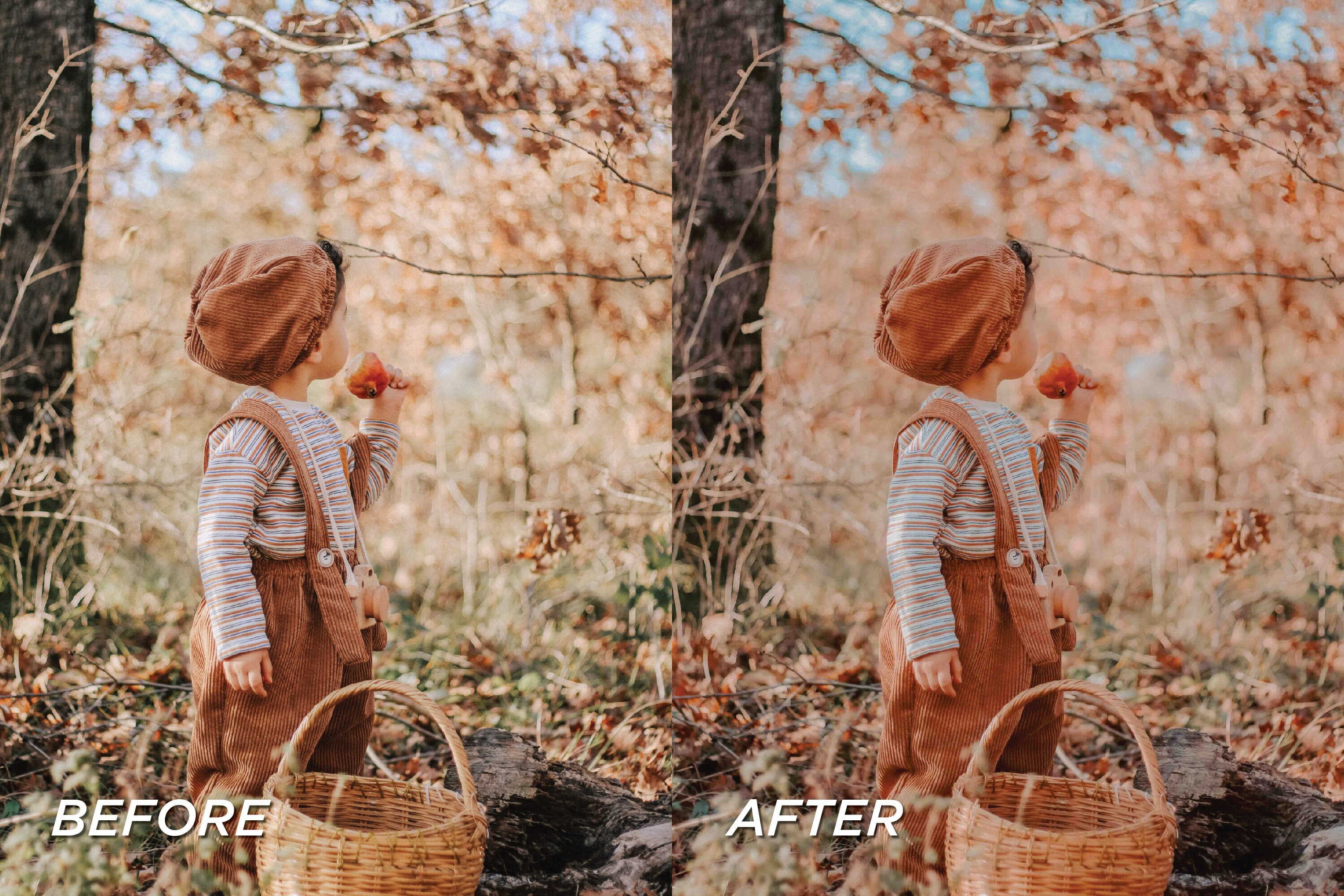 Rustic Picture Editing Examples 15 Rustic Fall Lightroom Presets, Moody Presets, Autumn Presets, Warm ...