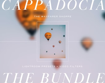 15 Lightroom Presets AND Mobile Video LUTs Bundle | Summer Travel Preset for Travel Blogger Vibrant Influencer Outdoor Presets Video LUTs