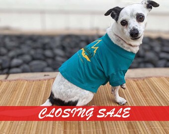 Organic Cotton Hiking Dog Shirt: Teal Adventure Design