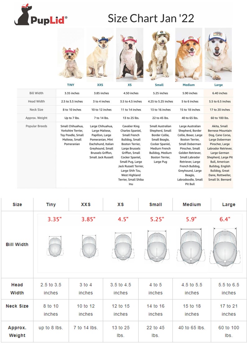 A size chart for Fetch the Sun and PupLid dog trucker hats. There is a breed recommendation guide on top. Then there is a size in inch guide on the bottom. The dog trucker hats fit big and tiny dogs. Please email us if you need help.