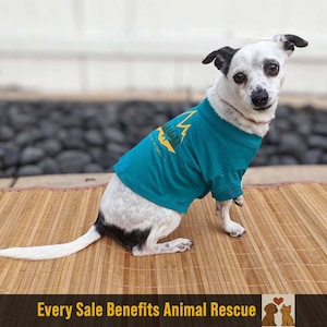 Organic Cotton Hiking Dog Shirt: Teal Adventure Design