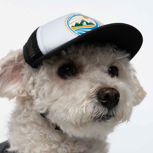 A small dog modeling a trucker hat for dogs. The dog hat is black and has a Fetch the Sun logo printed on it. The hat is made by PupLid and has a chin strap.