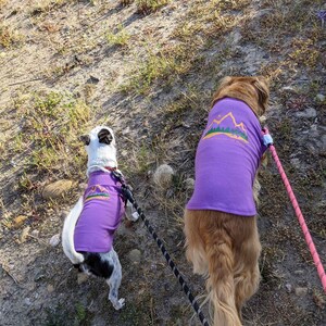 Two dogs hiking on a trail and wearing purple dog shirts for dogs with hiking graphics