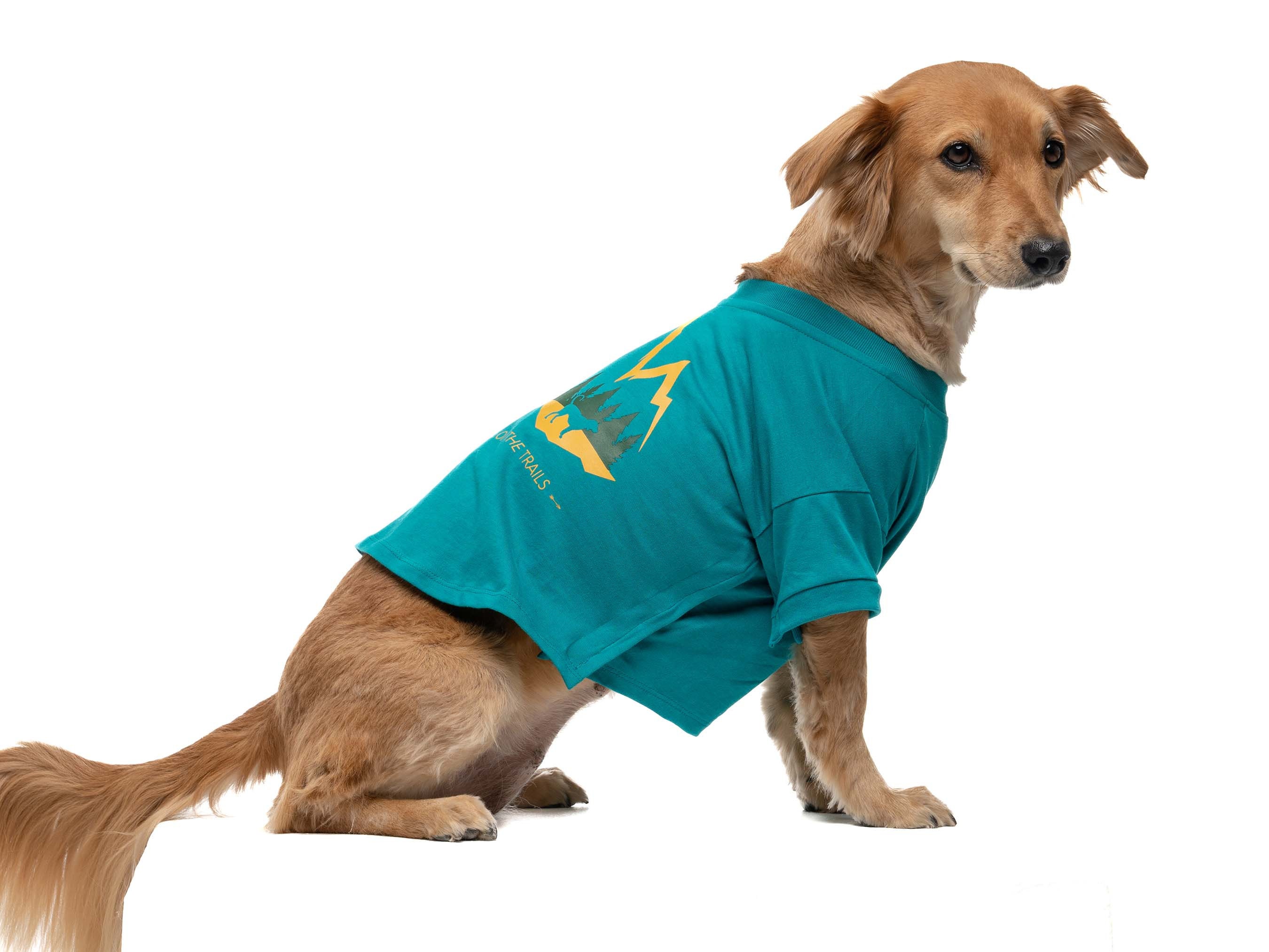 Organic Cotton Dog Shirt for Dogs by Fetch the Sun Designer 