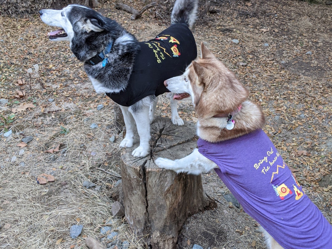 Extra Large Dog Shirts for Dogs With Camping Design by Fetch the Sun