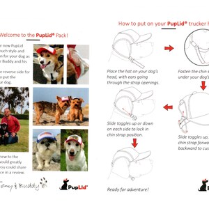 A guide for how to use PupLid Fetch the Sun dog hats. It shows how the loops go over the ears and how you adjust them. It also shows how to use the adjustable chin strap.