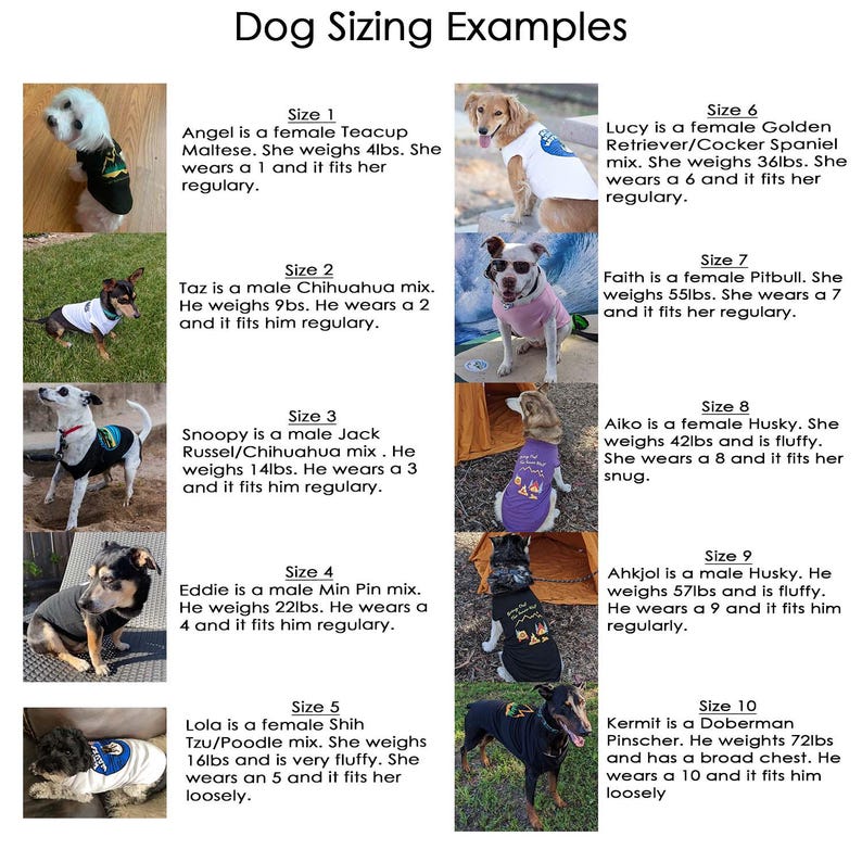 May include: A dog sizing chart titled Dog Sizing Examples featuring ten photographs of dogs wearing various shirts. Each image is paired with text detailing the dog's breed, weight in pounds, and the specific size worn from size 1 to size 10.