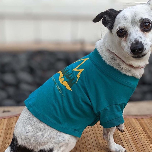 Designer Dog Clothes Etsy