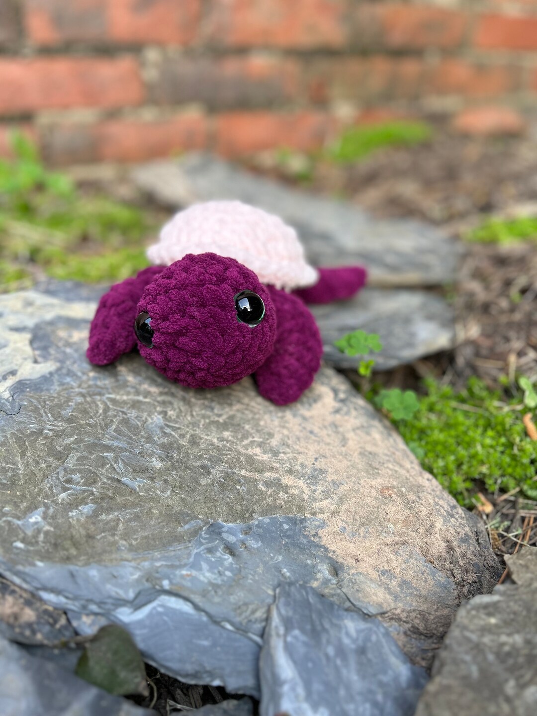 Sea Turtle - Etsy