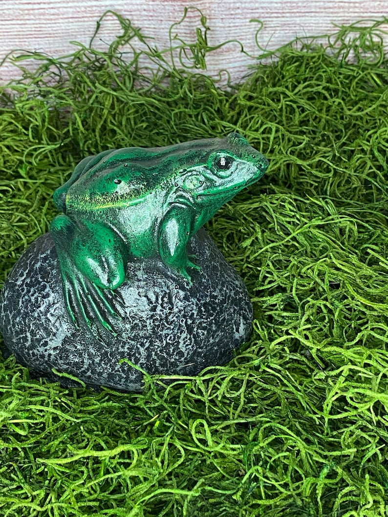 Concrete Frog Garden Statue Etsy
