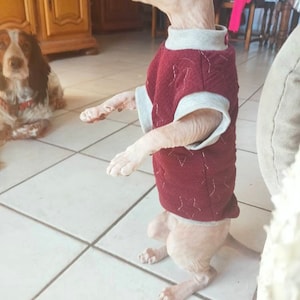 Sweater, coat burgundy cat sphynx Size 1 to 10
